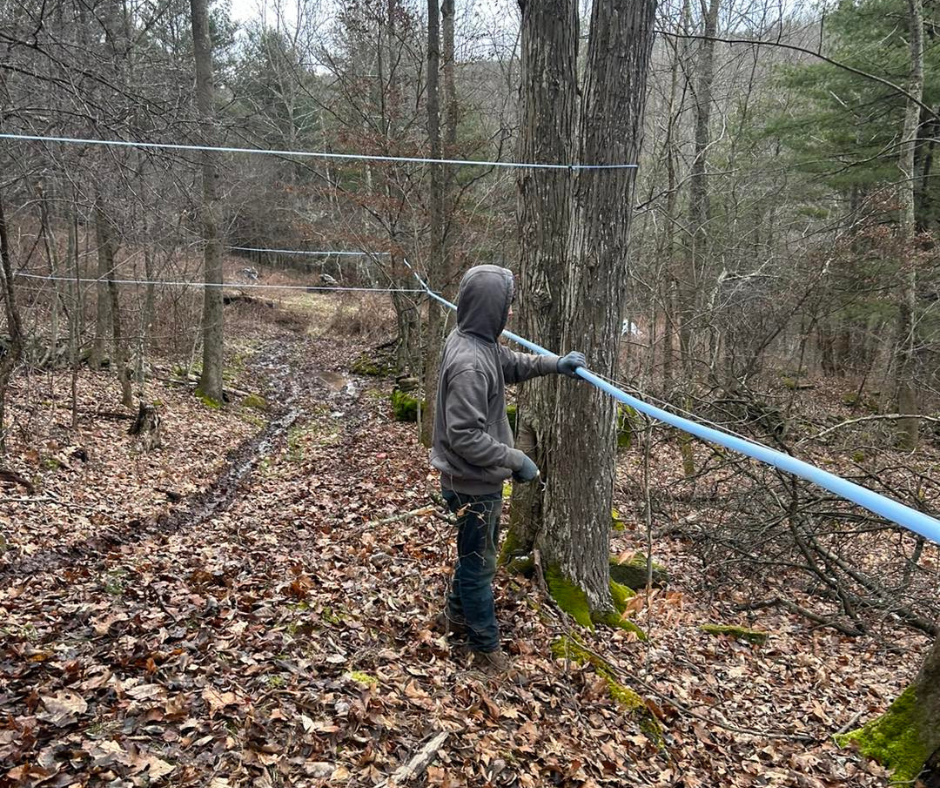 Maple Farm Open Tour, Maple Weekend 2024